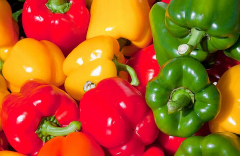 Фермери на Херсонщині встановили овочевий рекорд