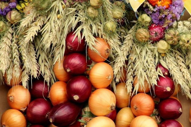 Експерти прогнозують дефіцит цибулі взимку — огляд цін на овочі