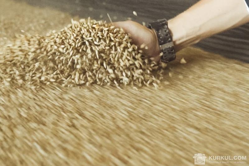 Аграрії зібрали 70% зерна урожаю 2018 року