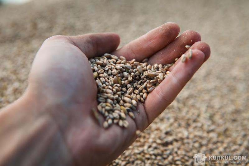 Експорт зернових з України сягнув майже 9 млн т