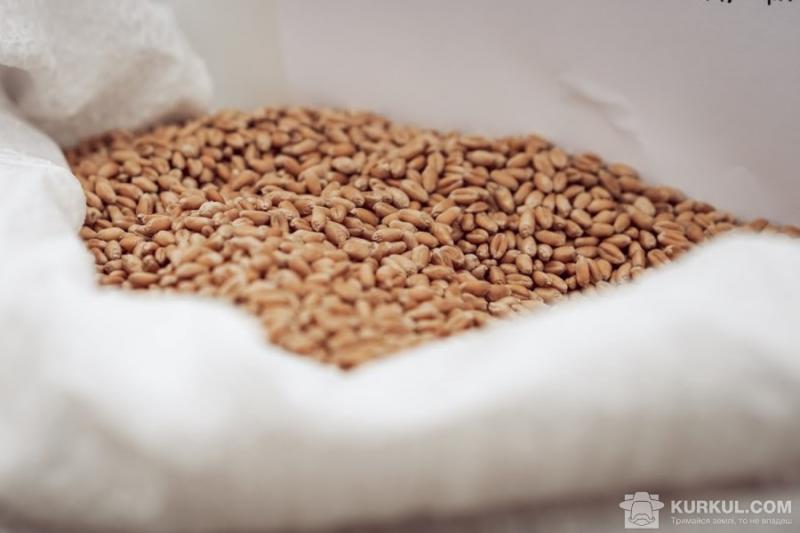 Показники якості пшениці визначатимуть по-новому