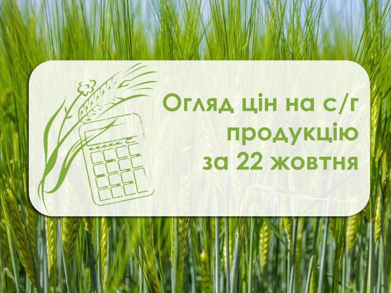 Вартість зернових знизилася — огляд цін на с/культури за 22 жовтня 