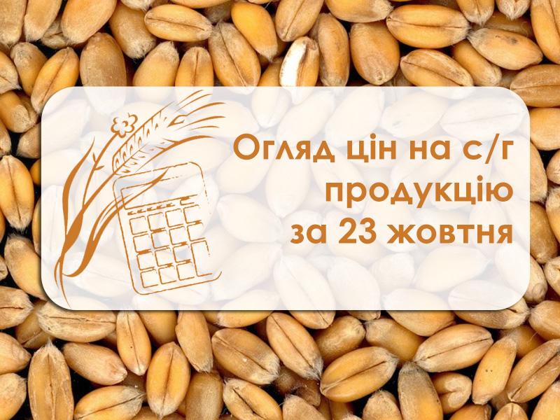 Вартість пшениці, соняшнику, ріпаку та інших — огляд цін на с/г культури за 23 жовтня 