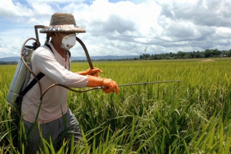 Monsanto виплатить 25% компенсації за потенційно канцерогенний гліфосат — постанова суду