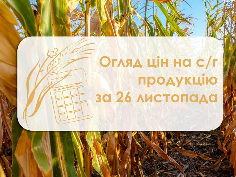 У порту Миколаївщини подешевшали зернові — огляд цін на с/г продукцію за 26 листопада