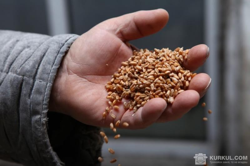 Аграрії намолотили понад 68 млн т зерна
