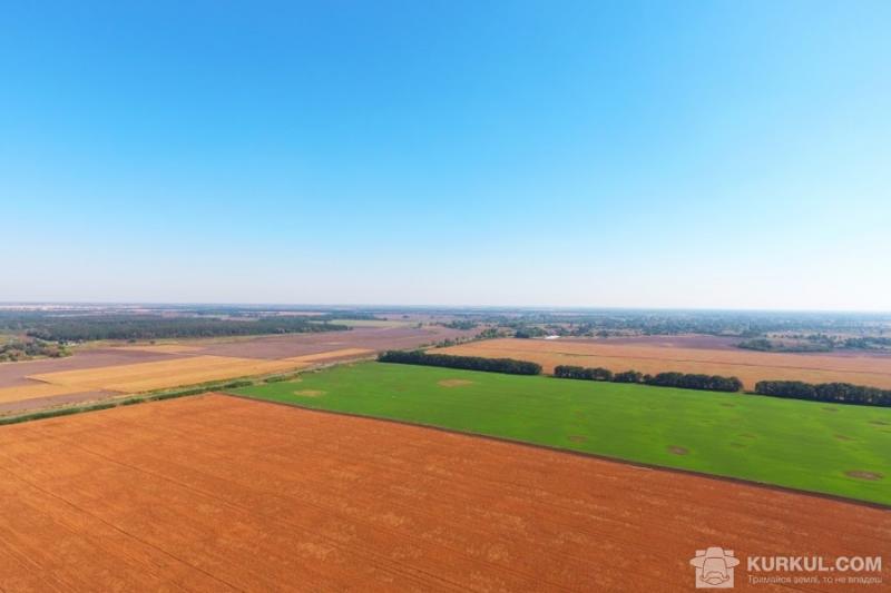 Обласні асоціації фермерів вимагають подовжити мораторій на продаж землі (відеозвернення)
