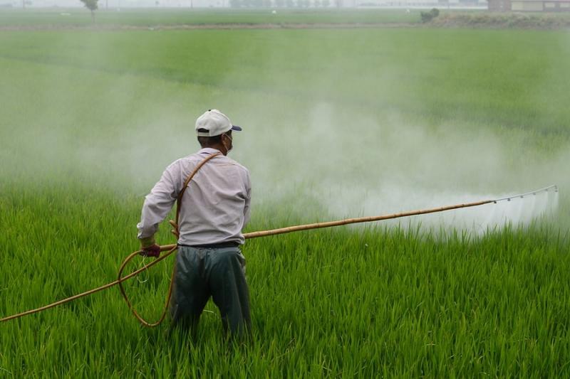 Китай заборонив використання двох високотоксичних пестицидів