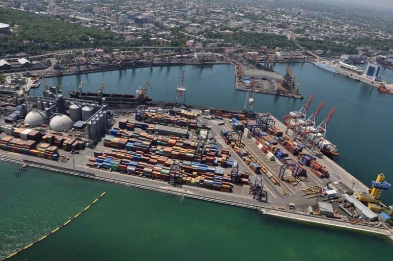 Чорноморський порт продовжує порушувати норми утримання тварин