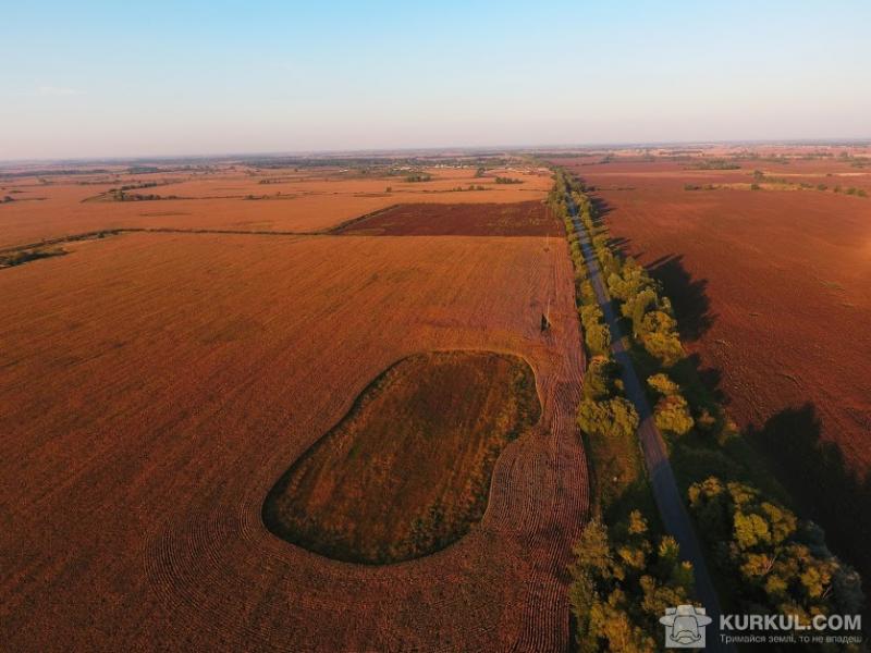 Україна не готова до запуску ринку землі — Паламар