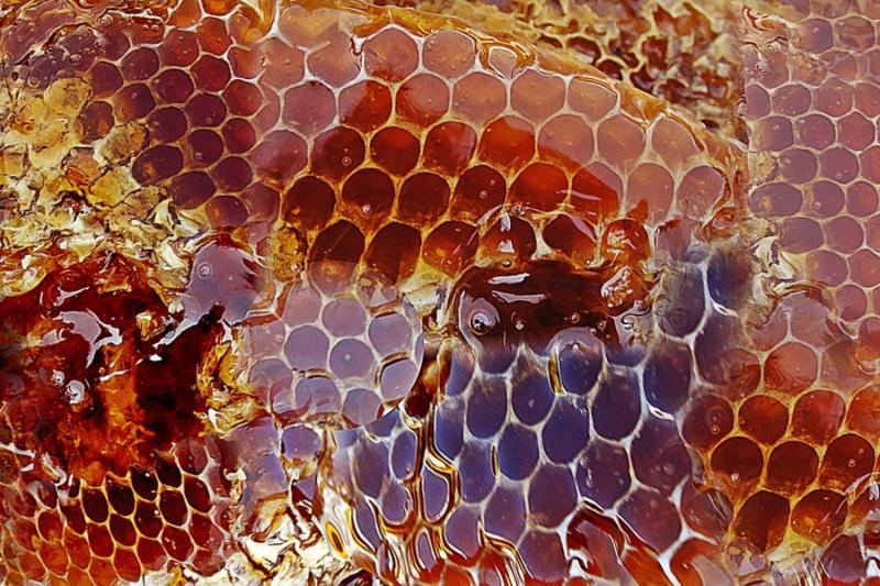 Експерт повідомив, скільки триватиме криза на ринку меду
