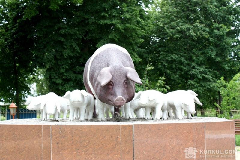Свиноферми залишилися без компенсації за знищених через АЧС тварин