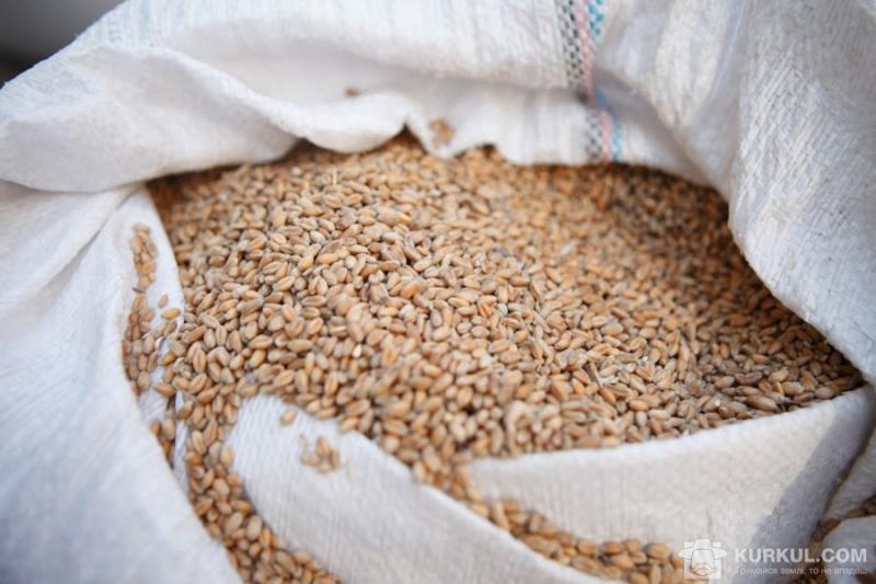 Злочинці викрали 4 т зерна у херсонського фермера