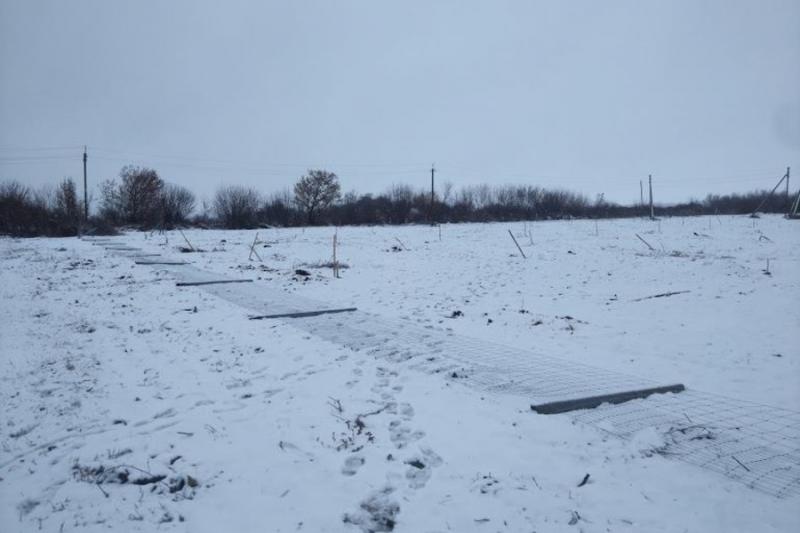 На Полтавщині невідомі знищили горіховий сад сімейної ферми