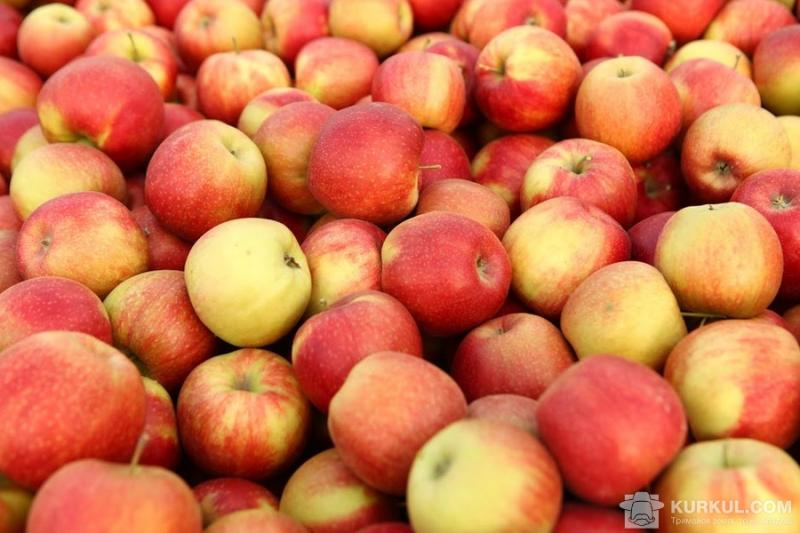 Якісні яблука подорожчали на внутрішньому ринку і на експорт
