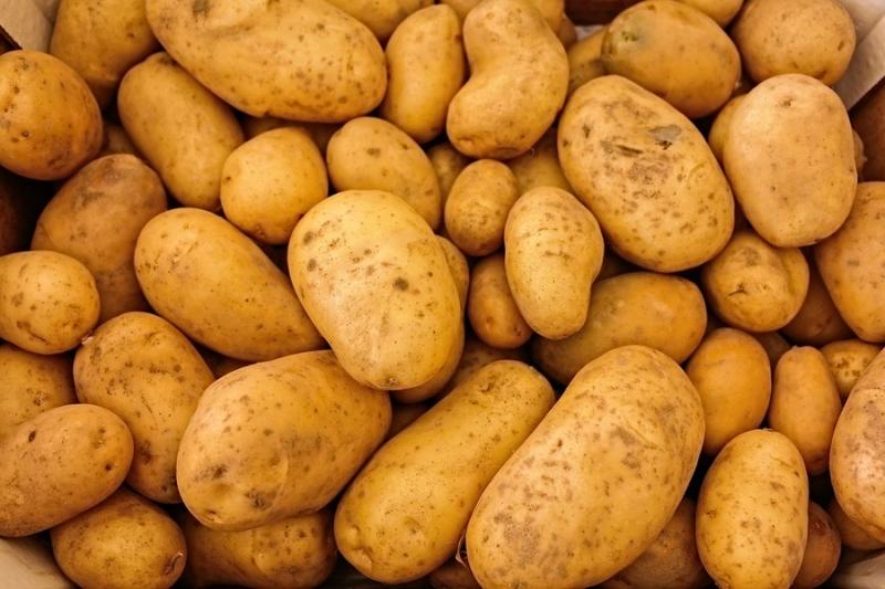 В Україну почали завозити імпортну картоплю врожаю 2019 року