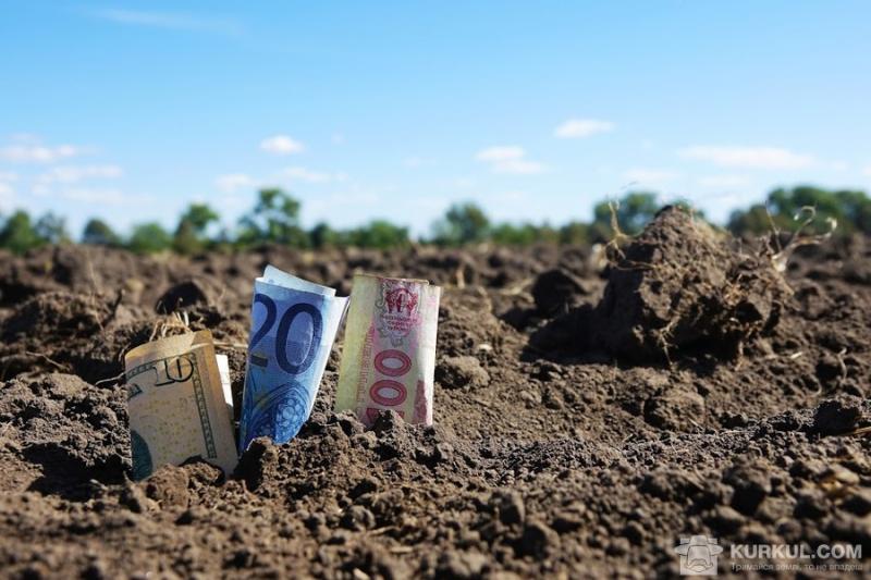 Земельна реформа може приносити Україні $100 млрд щороку — думка