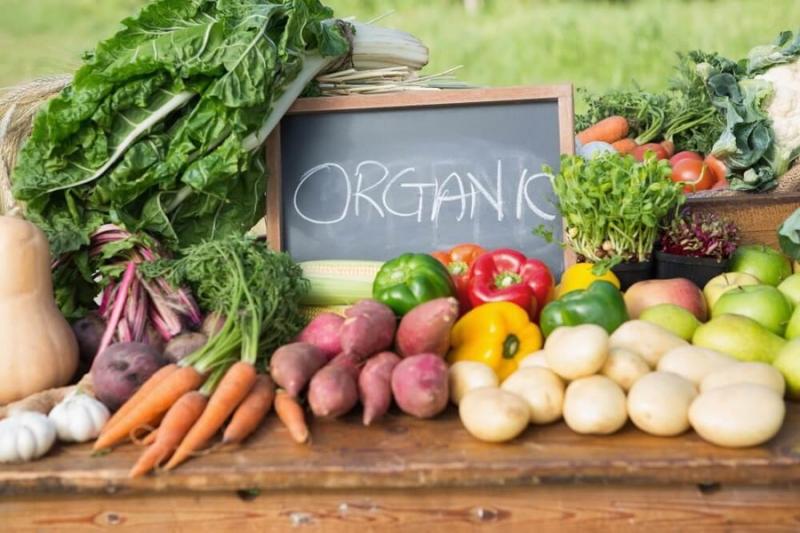 Україна зайняла 0,7% світового ринку органічних продуктів