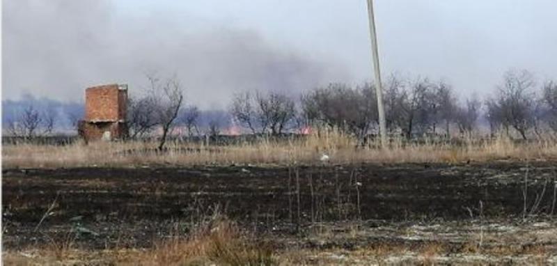В Одеській області вигоріли величезні території лісосмуг