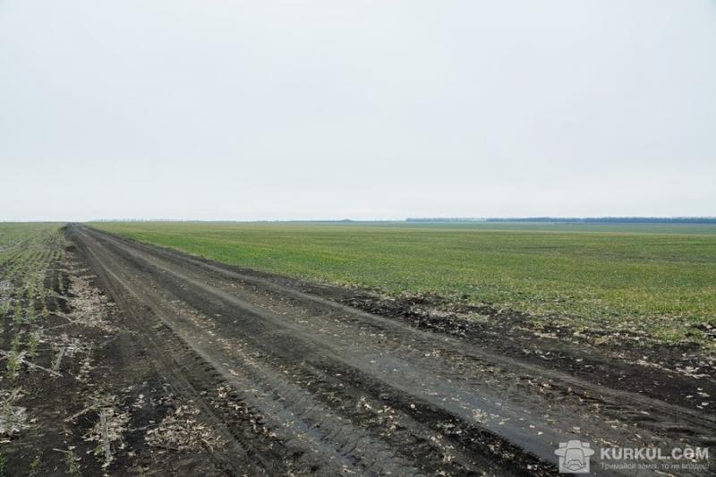 На Дніпропетровщині господарство позбавили права користування землею