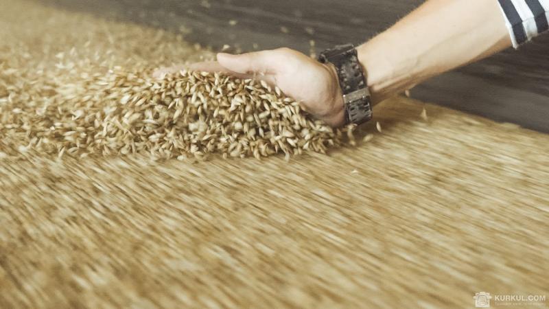 Україна вичерпала майже весь ліміт експорту продовольчої пшениці