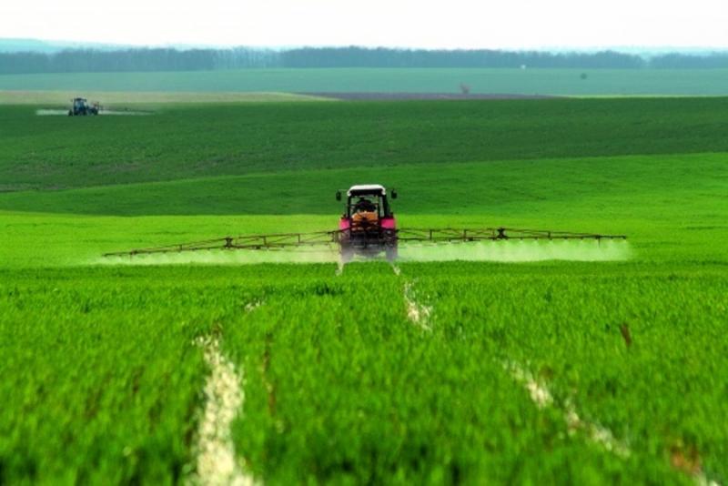 Фермери знищують корисних комах сумішами синтетичних пестицидів — науковці