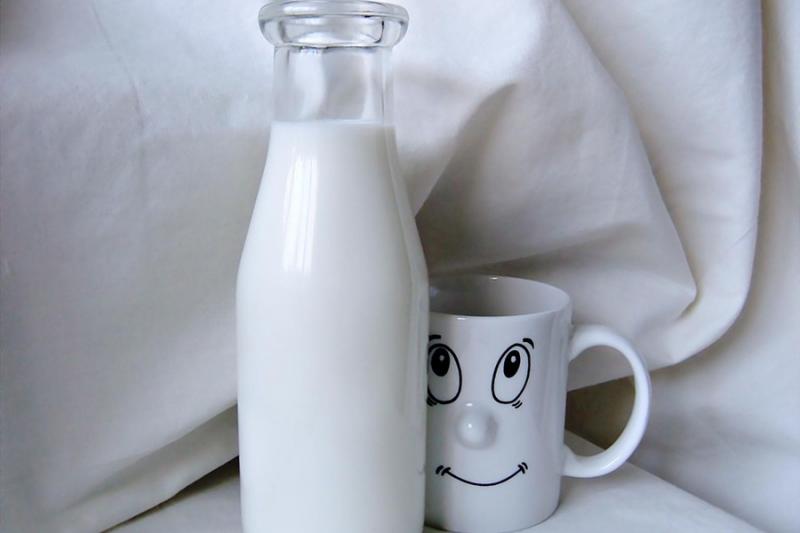 Промислові господарства виробили 38% молока в Україні