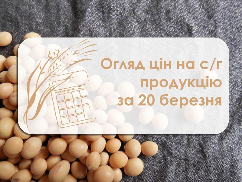 У Миколаївському порту другий день поспіль зростає ціна сої — огляд цін на с/г продукцію за 20 березня