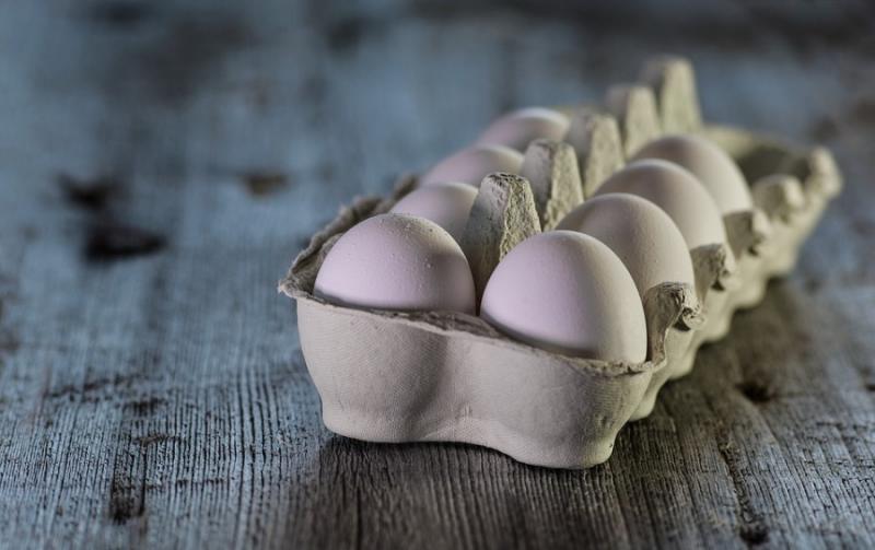 Україна стала лідером із постачання яєць до ОАЕ