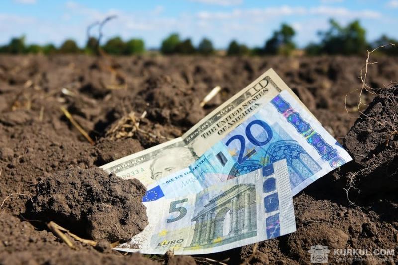 Земельний мораторій стримує банки від кредитування аграріїв
