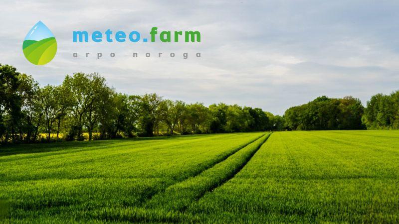 Фермери отримали сервіс прогнозу погоди для кожного поля в Україні