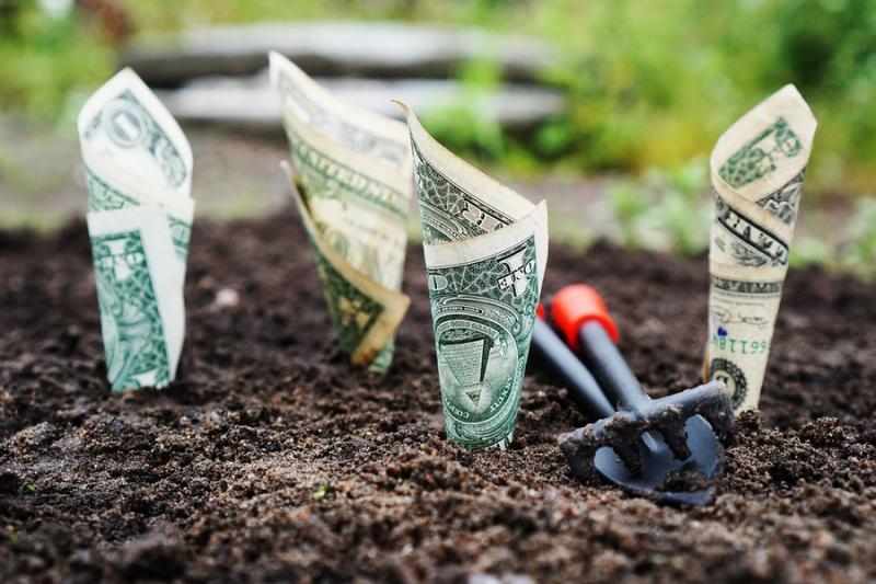 Садівники можуть отримати грантову допомогу на інновації у господарстві