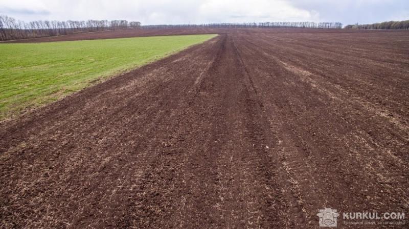 На Миколаївщині фермер вдруге безкоштовно отримав у користування майже 8 га ріллі