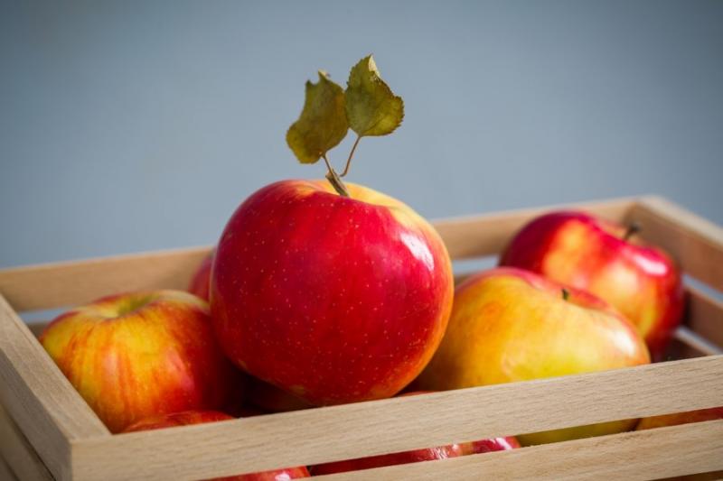 Імпорт яблук в Україну впав майже на 100% через рекордні врожаї — аналітики