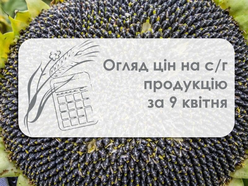 У порту Миколаївської області здорожчала соя — огляд цін на с/г продукцію за 9 квітня