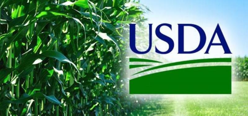 USDA ліквідує СНД у світових звітах