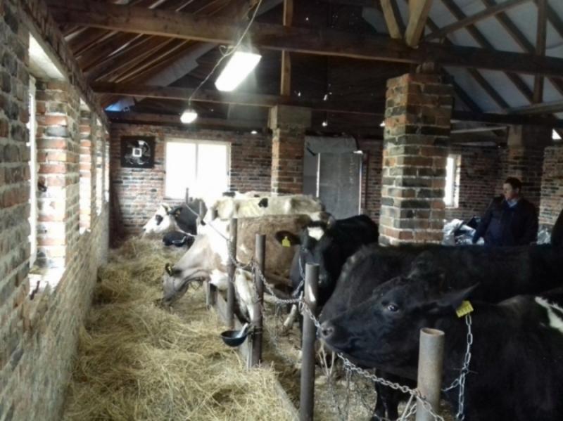 Чергову молочну родинну ферму відкрили на Прикарпатті