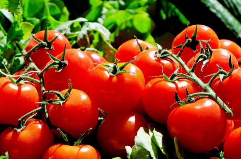 Україна імпортувала майже 90% томатів із Туреччини