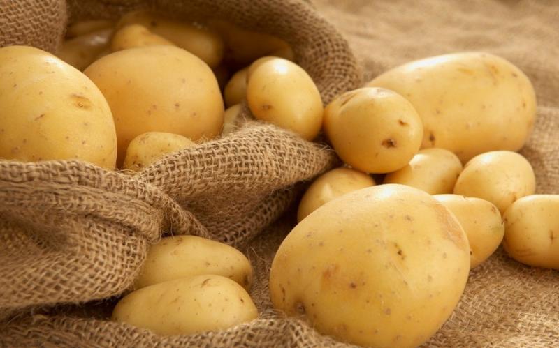 У столиці молоду картоплю продають по 70 грн/кг