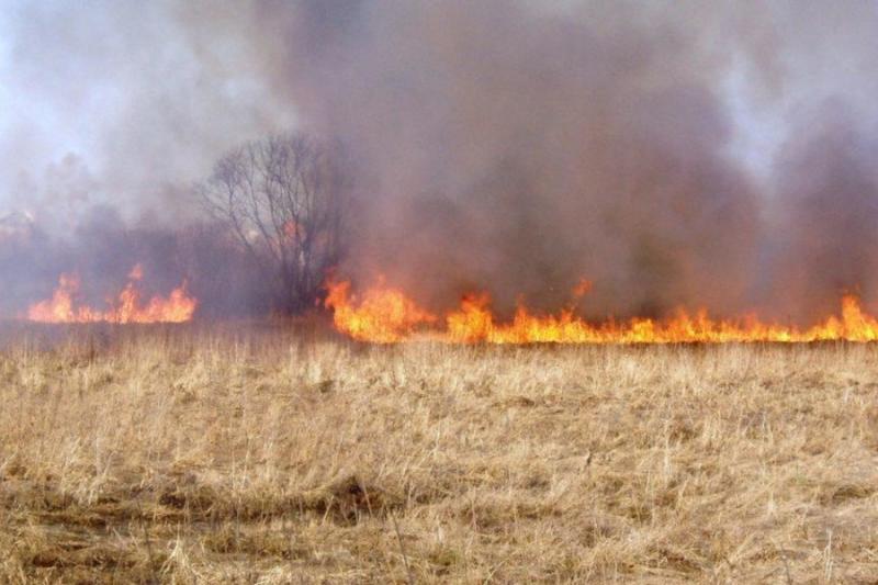 Підвищена пожежна небезпека очікується у окремих областях України