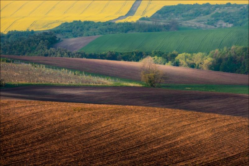 Львівщина рекордними темпами нарощує аграрне виробництво