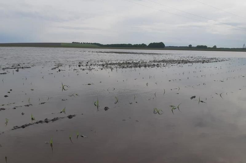 Зливи затопили поля на Полтавщині