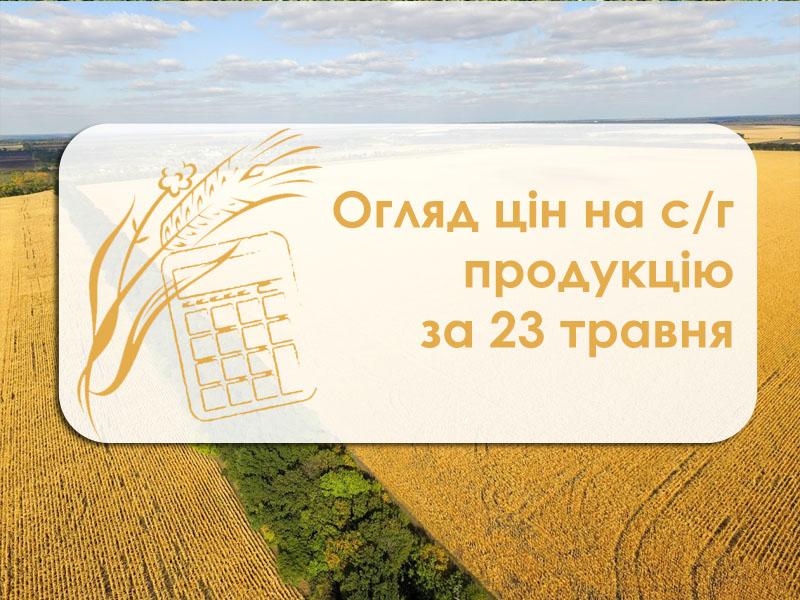 У портах Одещини знизилась ціна пшениці 2 класу — огляд цін на с/г продукцію за 23 травня