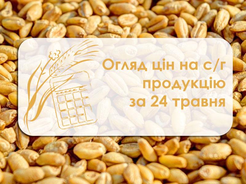 Кукурудза та пшениця подорожчали — огляд цін на с/г продукцію за 24 травня