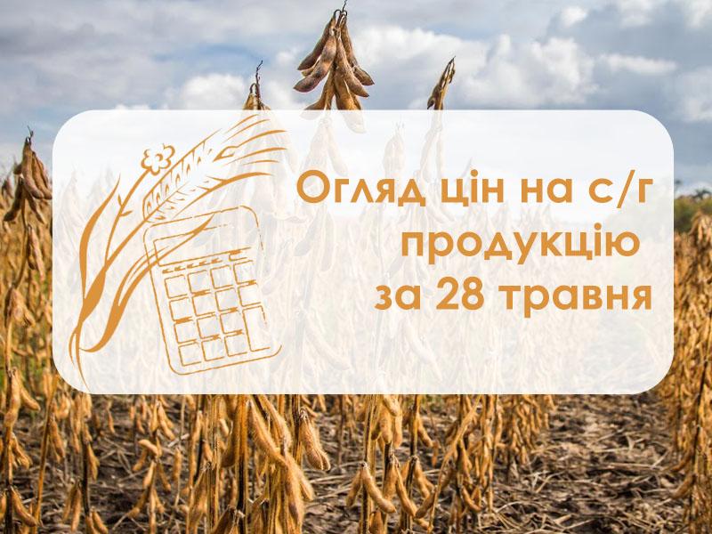 Зернові та олійні дешевшають у портах Одещини — огляд цін на с/г продукцію за 28 травня