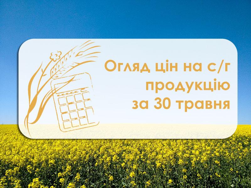 Вартість зернових продовжує зростати — огляд цін на с/г продукцію за 30 травня 