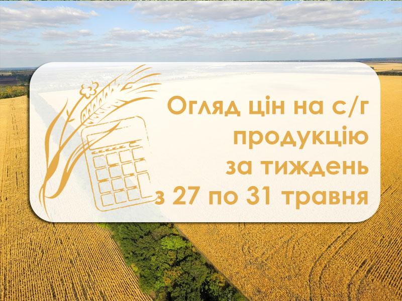 Кукурудза та пшениця подорожчали — огляд цін на с/г продукцію за тиждень з 27 по 31 травня