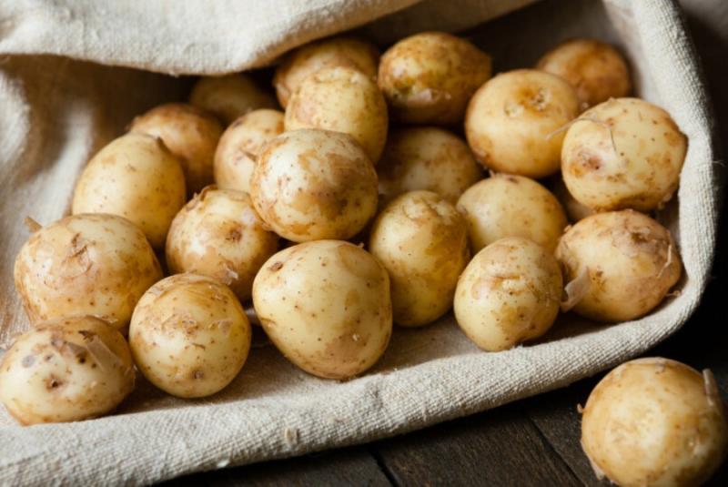 Фермери пропонують найдешевші ціни на молоду картоплю