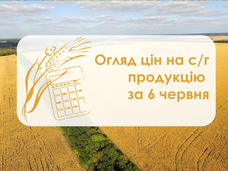 Кукурудза та соя подорожчали — огляд цін на с/г продукцію за 6 червня