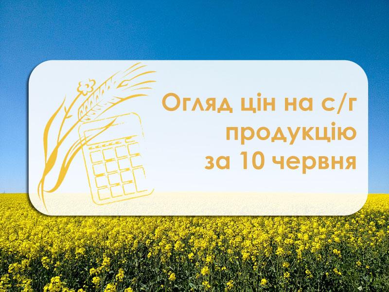Кукурудза та соняшник подешевшали — огляд цін на с/г продукцію за 10 червня